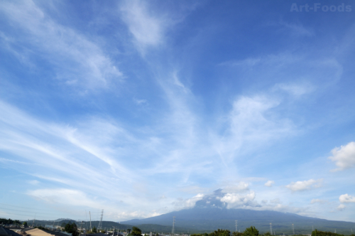 f:id:artfoods:20100902165439j:image:w240:left
