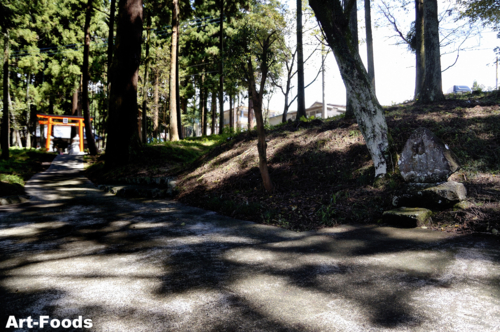 f:id:artfoods:20100919110632j:image:w360:right