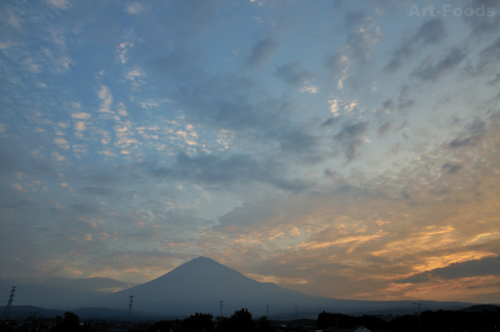 f:id:artfoods:20100920065629j:image