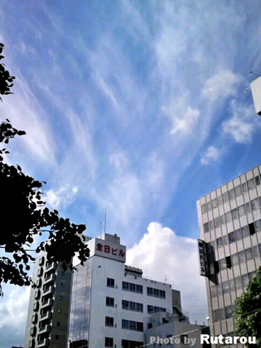 f:id:artfoods:20100920101219j:image:w150:left
