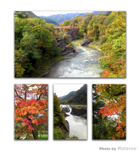 f:id:artfoods:20101014055832j:image
