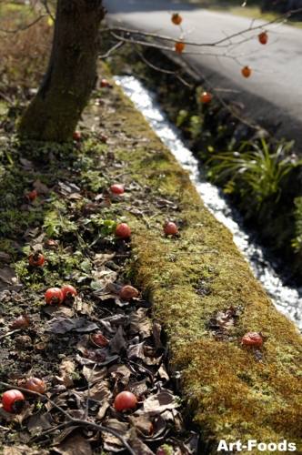 f:id:artfoods:20101103185058j:image