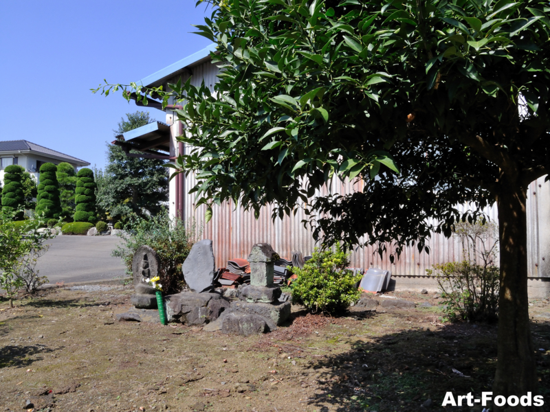 f:id:artfoods:20101112144833j:image:w240:left