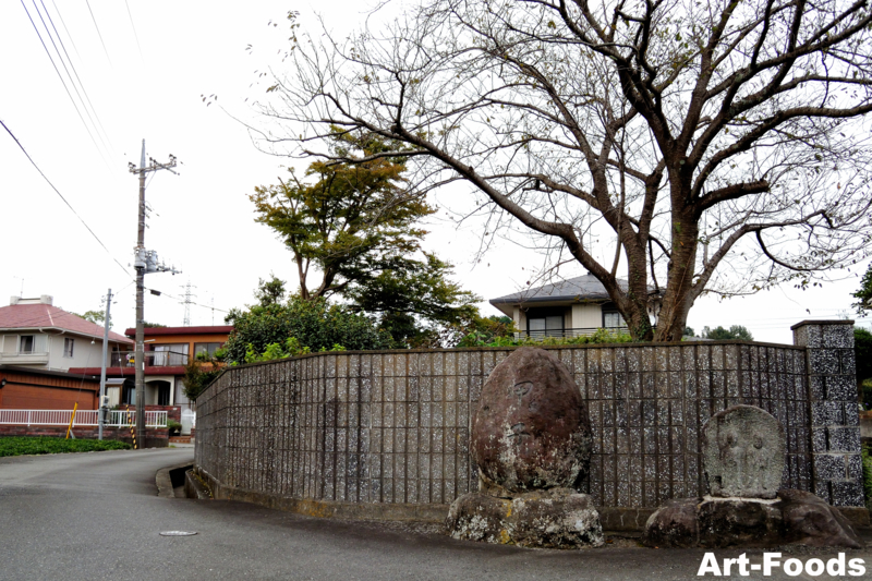 杉田・大宝坊の道祖神_101001_2