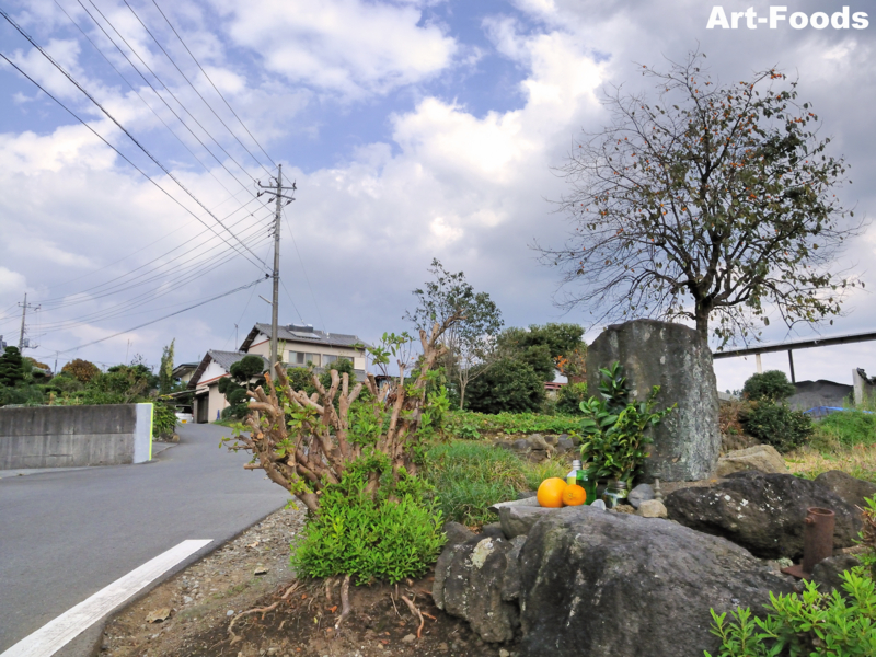 f:id:artfoods:20101120163314j:image:w320:right