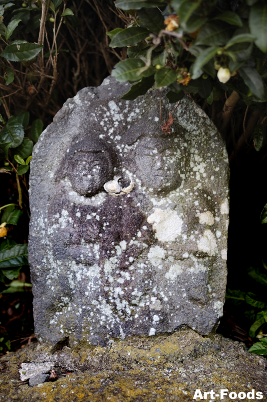 f:id:artfoods:20101120163438j:image:w500