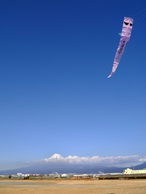 MtFuji_110119_1338@富士川緑地公園