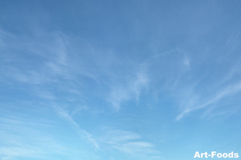 f:id:artfoods:20110320175507j:image:w500