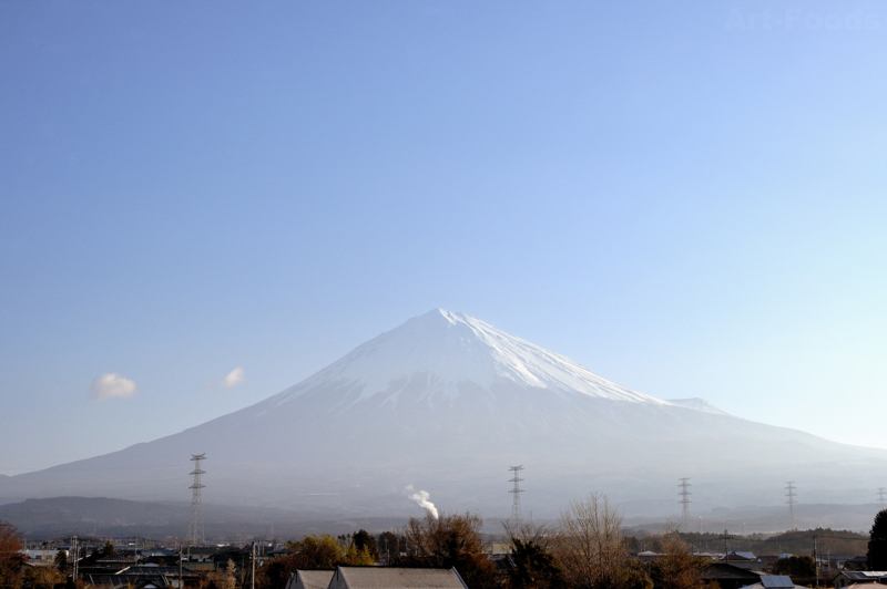 f:id:artfoods:20110328071736j:image:w500