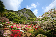 御船山楽園の春
