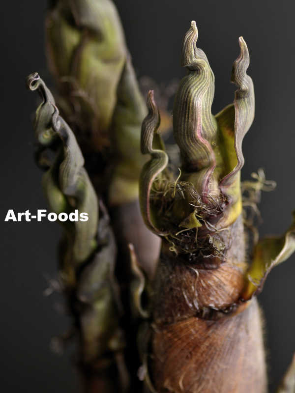 f:id:artfoods:20110607100959j:image:w240:left f:id:artfoods:20110607100959j:image:w240:left