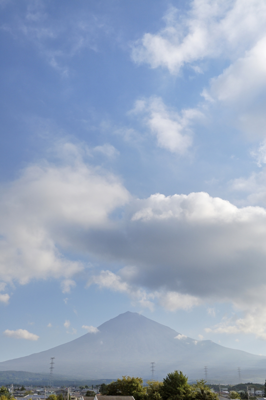 f:id:artfoods:20110907082721j:image:w360