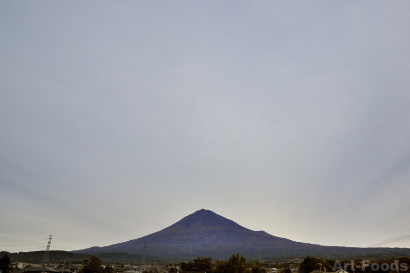 f:id:artfoods:20111021174621j:image:w200:right