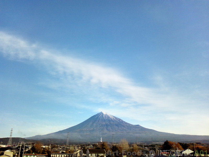 f:id:artfoods:20111221092756j:image:w360