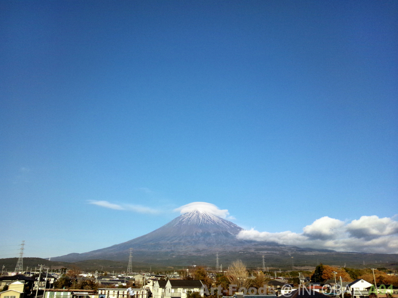 f:id:artfoods:20111221155525j:image:w360