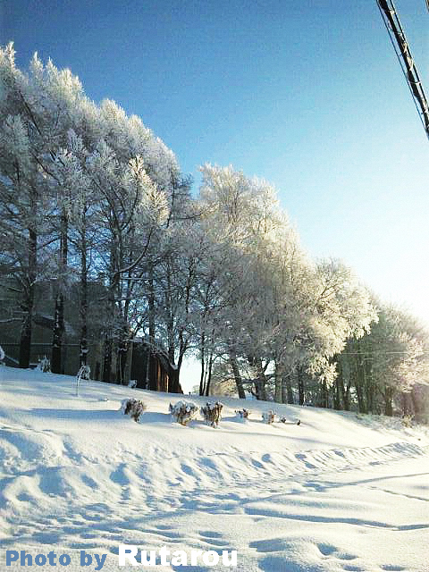 f:id:artfoods:20111221162611j:image:w200:right