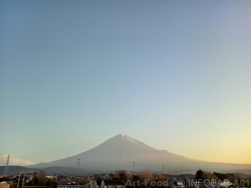 f:id:artfoods:20120104081839j:image:w360