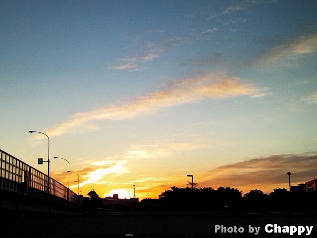 f:id:artfoods:20120131051834j:image:w240:right