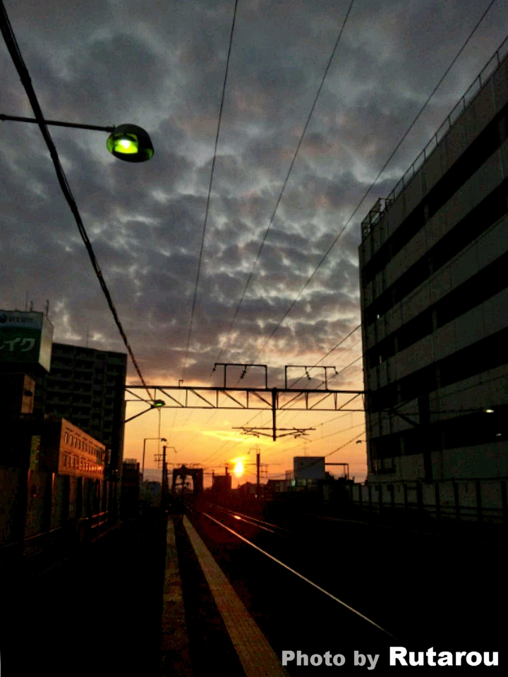 f:id:artfoods:20120520072942j:image:w200:right