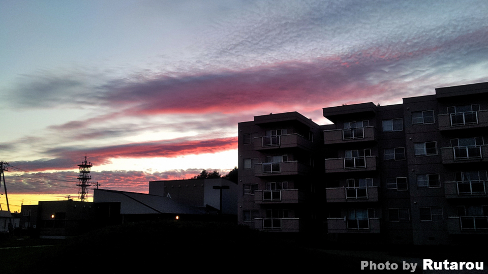 f:id:artfoods:20120719045957j:image:w500