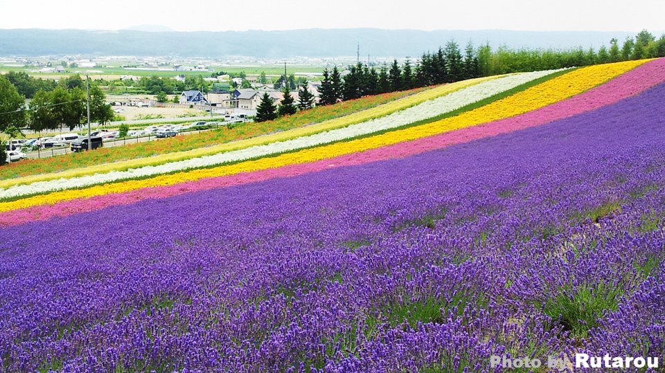 f:id:artfoods:20120801045637j:image:w300:left