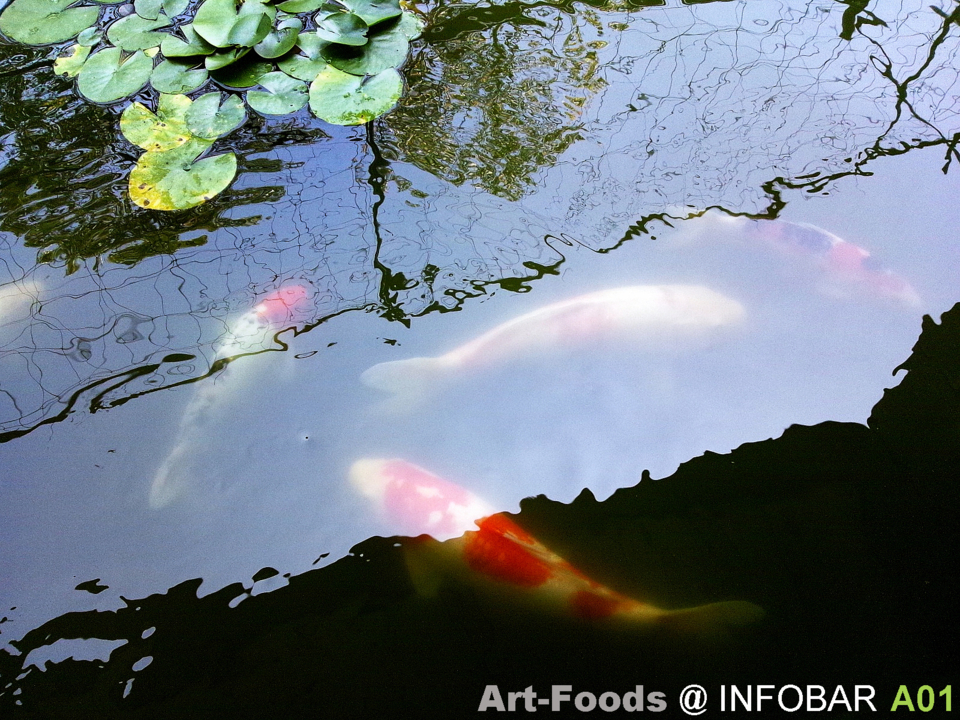 f:id:artfoods:20120814114329j:image:w360:right f:id:artfoods:20120814114329j:image:w360:right