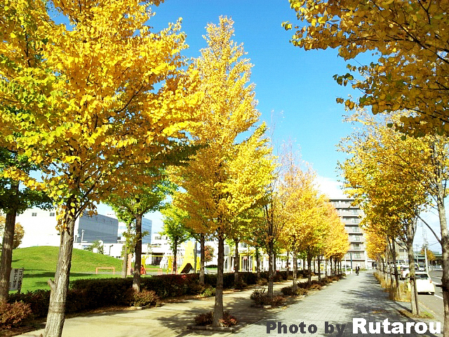 f:id:artfoods:20121026051433j:image:w320 f:id:artfoods:20121026051433j:image:w320