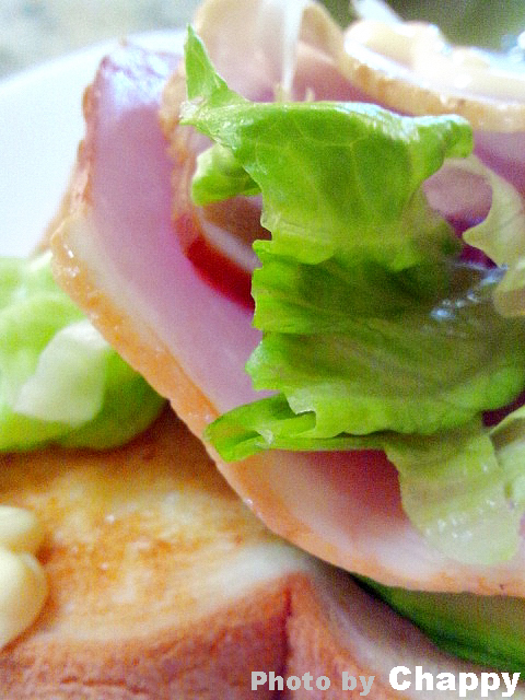 f:id:artfoods:20121222062242j:image:w240:left