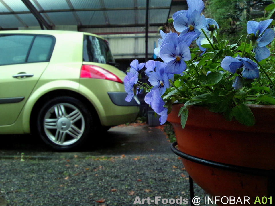 f:id:artfoods:20121230143951j:image:w360 f:id:artfoods:20121230143951j:image:w360