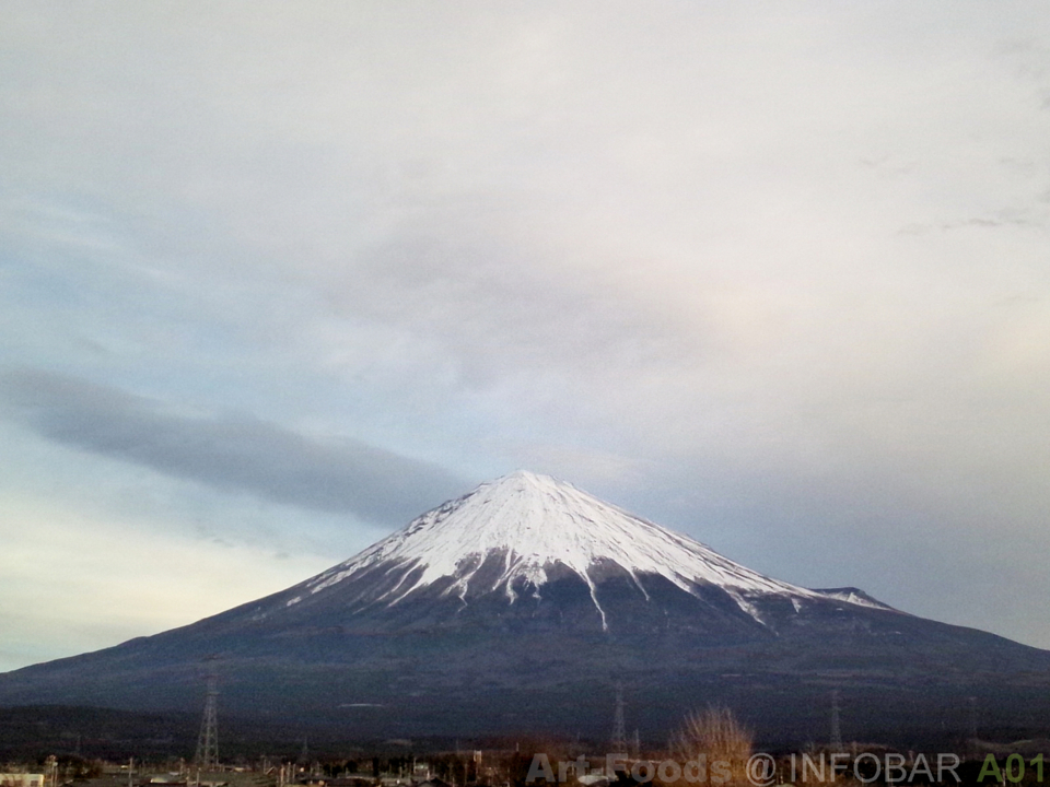 f:id:artfoods:20130103083110j:image:w360