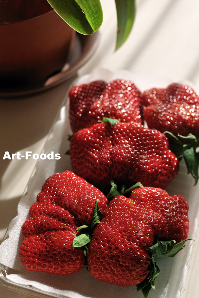 f:id:artfoods:20130104085806j:image:w240:left