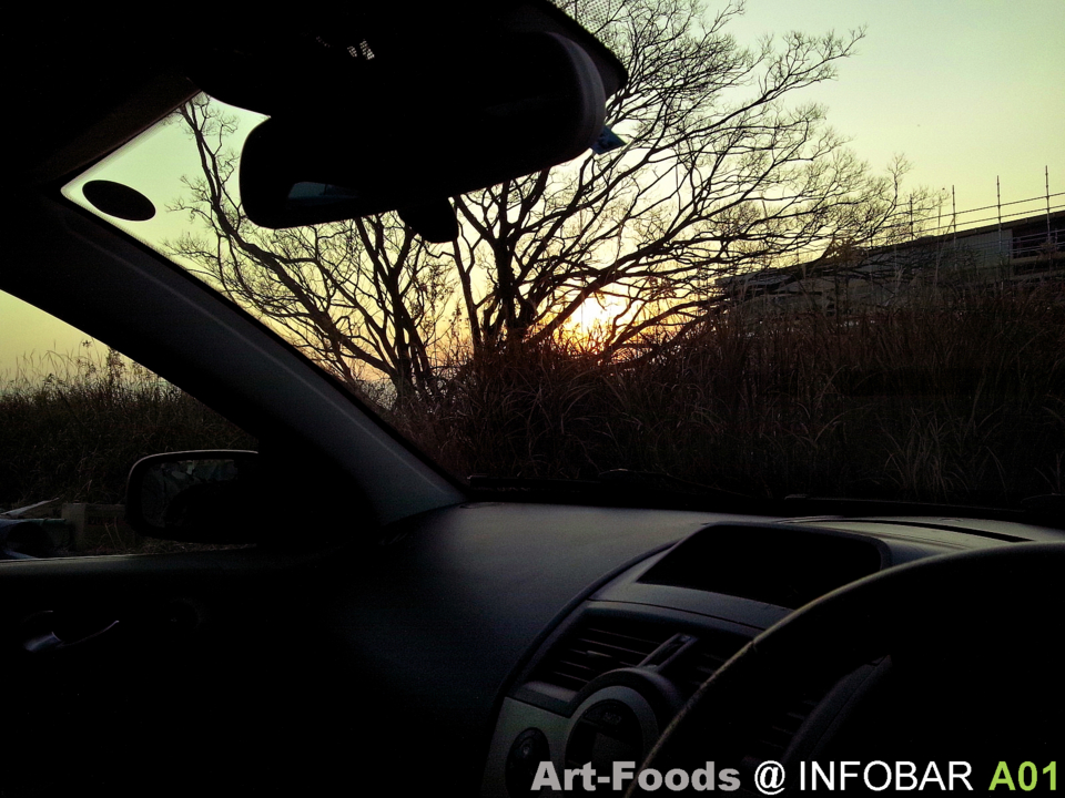 f:id:artfoods:20130110054137j:image:w360