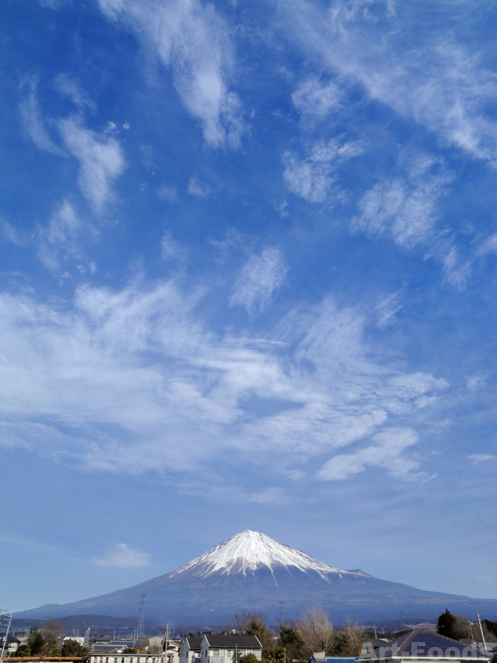 f:id:artfoods:20130114080938j:image:w360