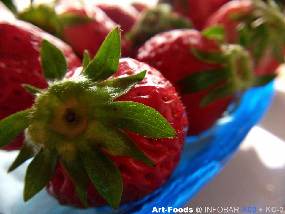f:id:artfoods:20130529190830j:image:w240:left f:id:artfoods:20130529190830j:image:w240:left