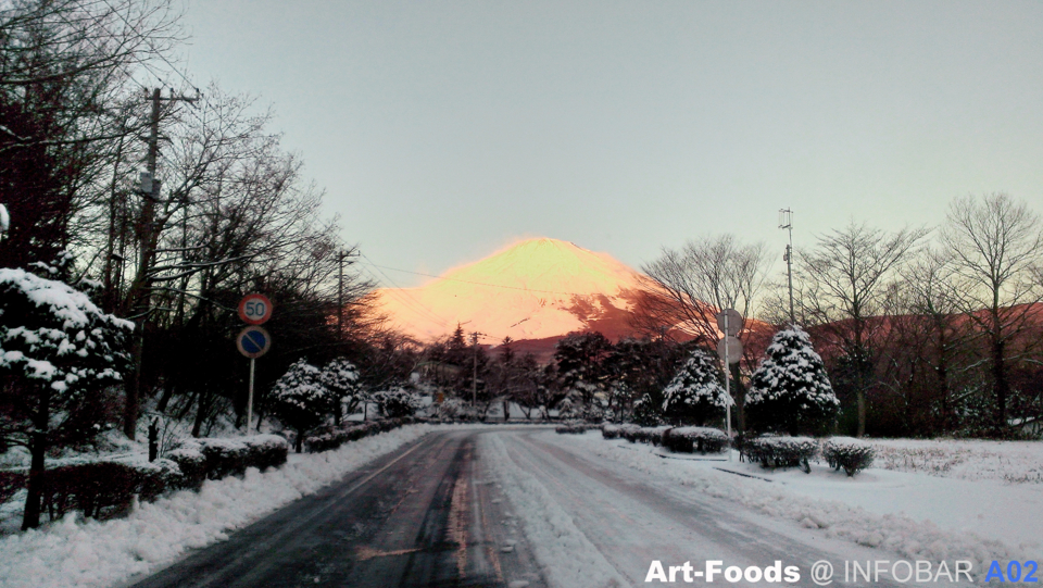 f:id:artfoods:20131228141342j:image:w500