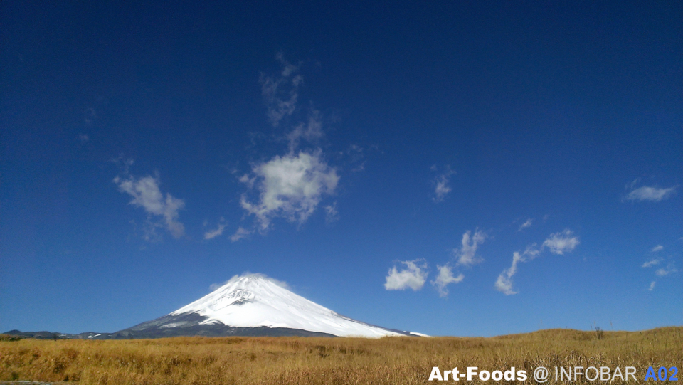 f:id:artfoods:20131228141343j:image:w500