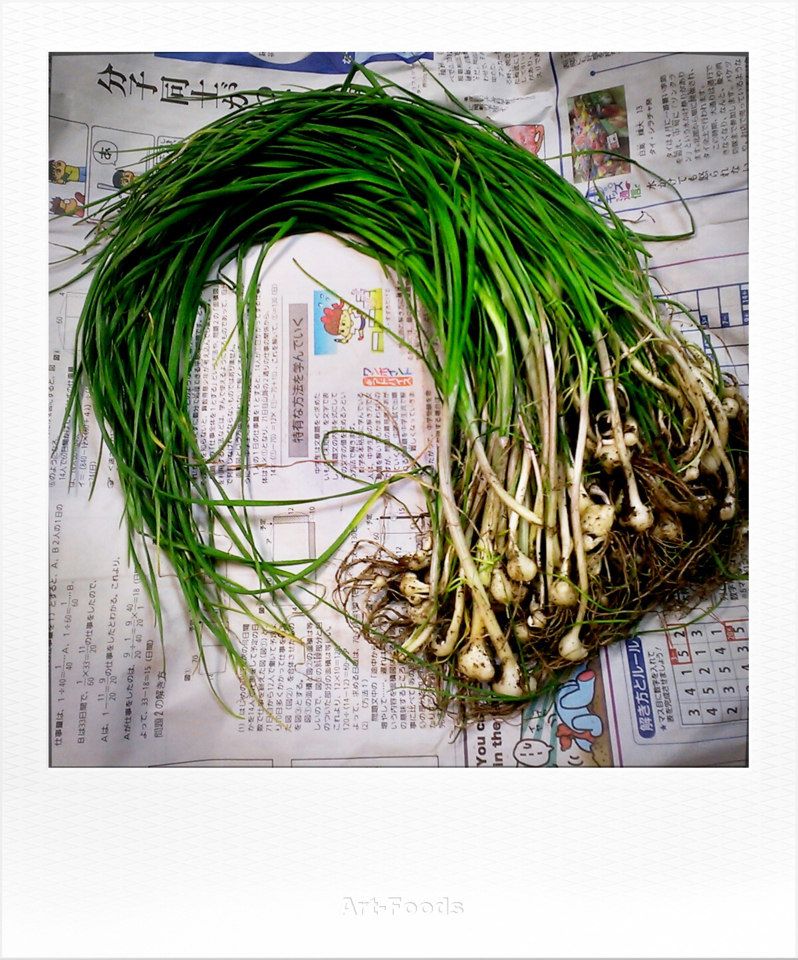 f:id:artfoods:20140413102637j:image:w200:right
