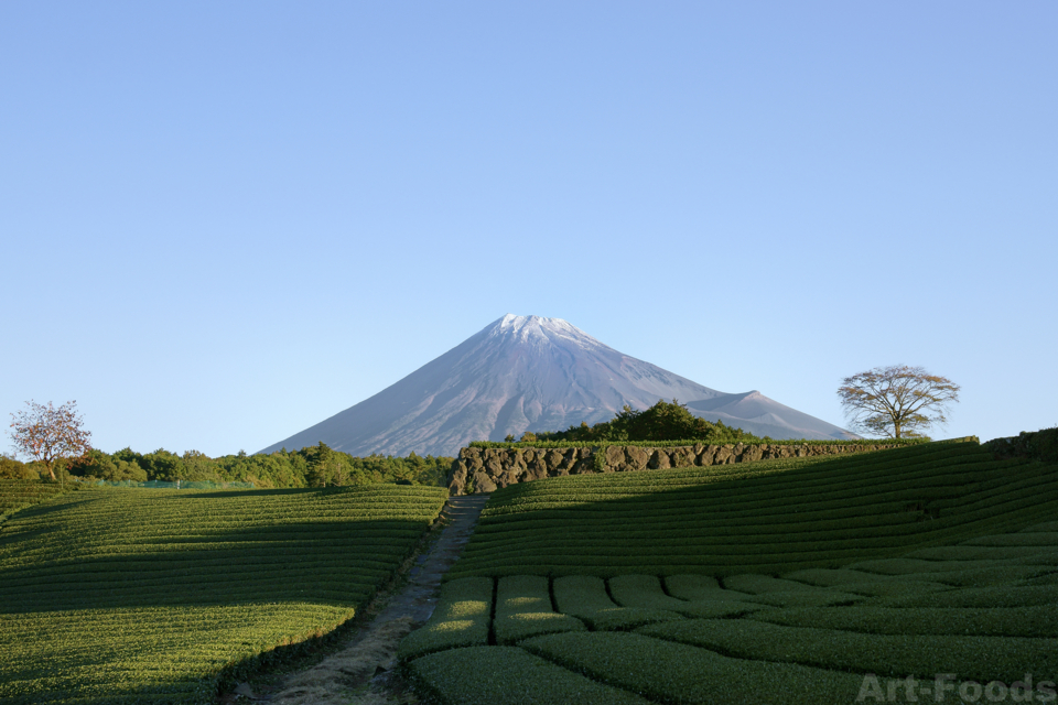 MtFuji_141114_0657