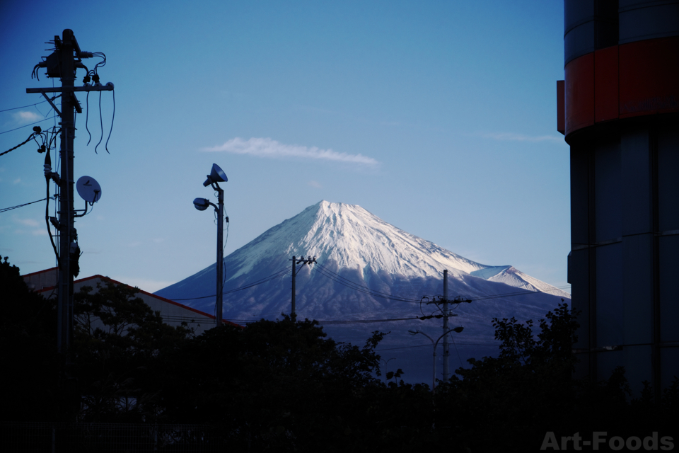 f:id:artfoods:20141130121514j:image:w500