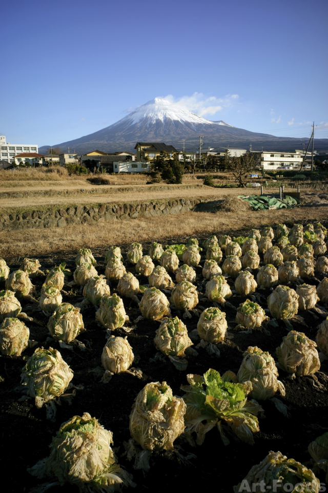 MtFuji_150101_0753