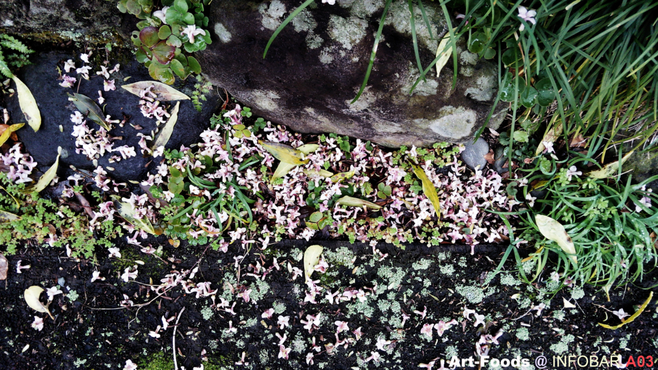 f:id:artfoods:20150321111505j:image:w500