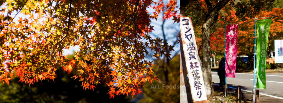 コンヤ温泉紅葉祭り_161113