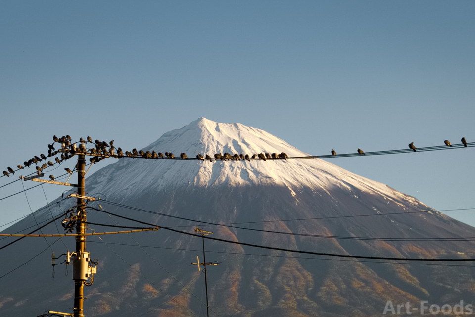 MtFuji_161120_0715