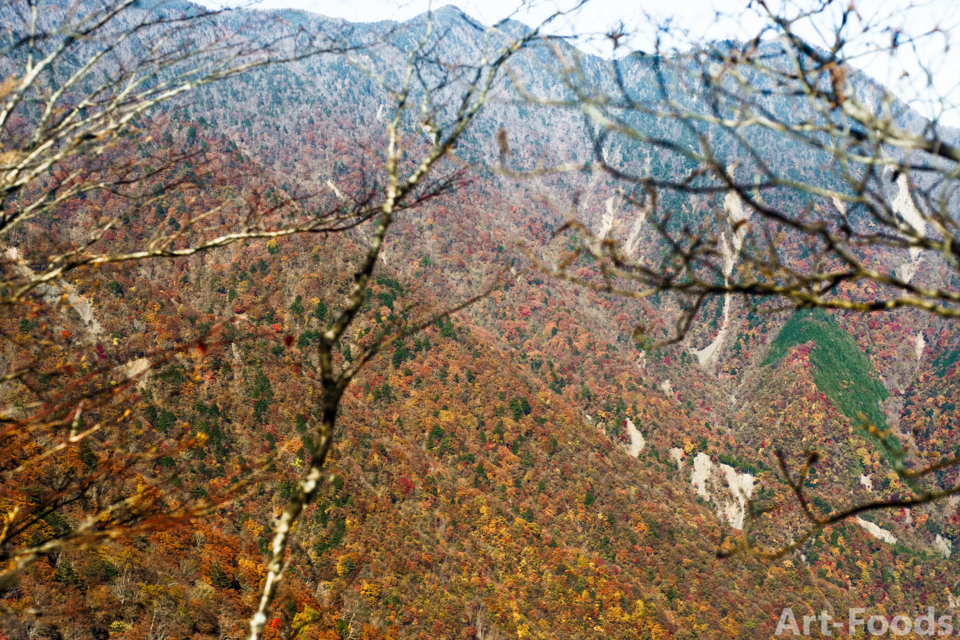 梅ヶ島温泉の紅葉-1_161113