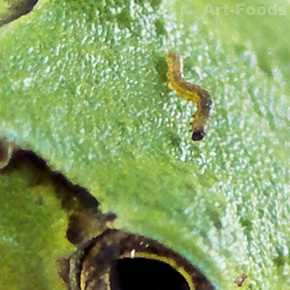 f:id:artfoods:20170707044944j:image:w320