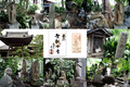 萬徳寺四国八十八箇所_190519