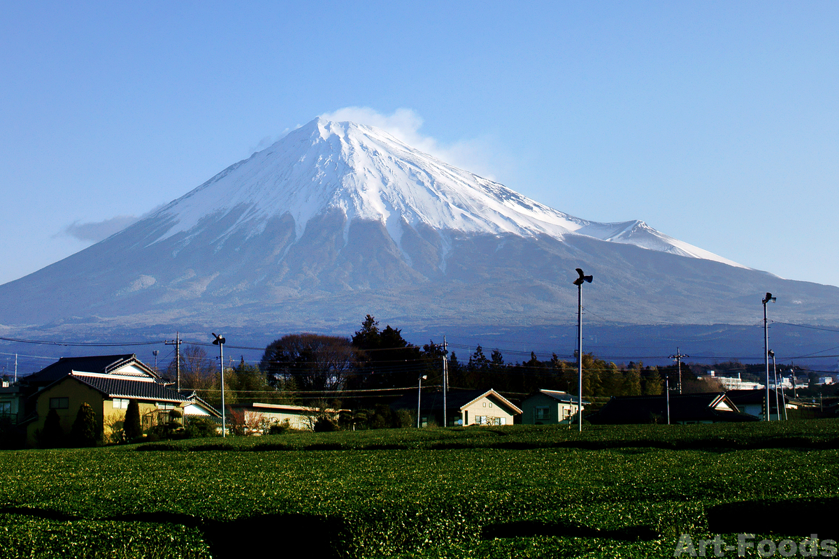 MtFuji_200316_0654