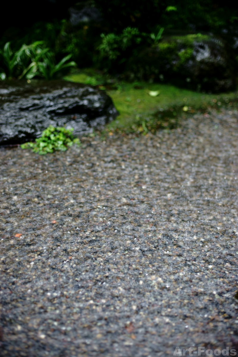 豪雨の庭風景_200726