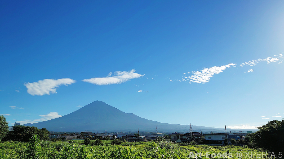 MtFuji_200811_0704