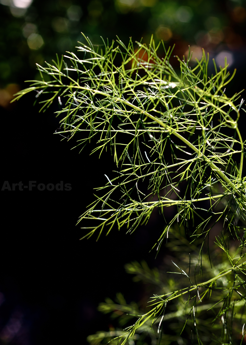 f:id:artfoods:20200816144624j:image:w640 f:id:artfoods:20200816144624j:image:w640